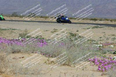 media/Feb-04-2023-SoCal Trackdays (Sat) [[8a776bf2c3]]/Turn 15 Inside Blooming (1050am)/